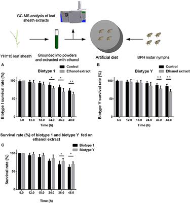 Functional Study of Cytochrome P450 Enzymes from the Brown Planthopper (Nilaparvata lugens Stål) to Analyze Its Adaptation to BPH-Resistant Rice